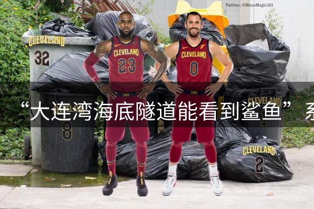 “大连湾海底隧道能看到鲨鱼”系谣言（2026·08·04）