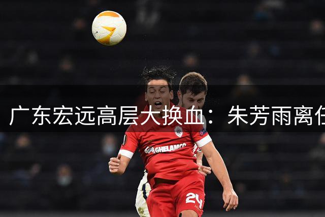 广东宏远高层大换血：朱芳雨离任总经理，少东家接棒周鹏回归