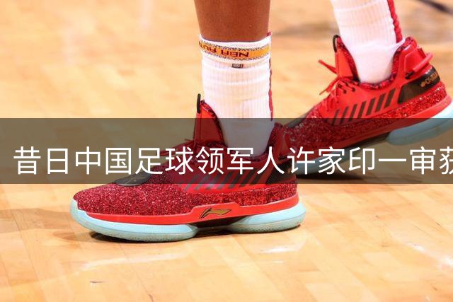 昔日中国足球领军人许家印一审获无期徒刑