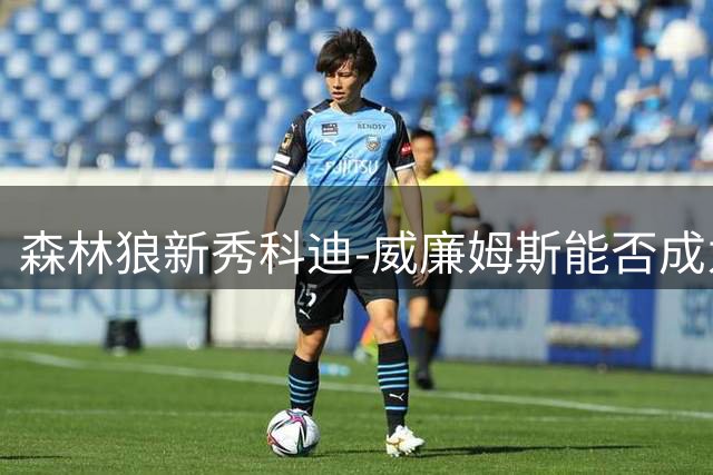 森林狼新秀科迪-威廉姆斯能否成为下一个惊喜之星？