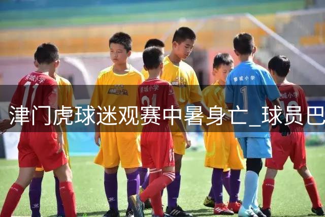 津门虎球迷观赛中暑身亡 球员巴顿含泪发文追思