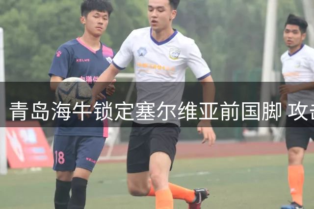 青岛海牛锁定塞尔维亚前国脚 攻击手图费格季奇即将登陆中超